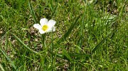 2-FaurioMonetier-20130511-087