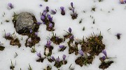 RocheChateau-20130526-037