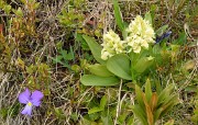 Cochette-2013-06-08-048