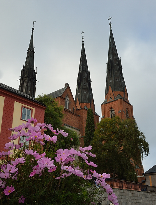20130906-030-Uppsala.jpg