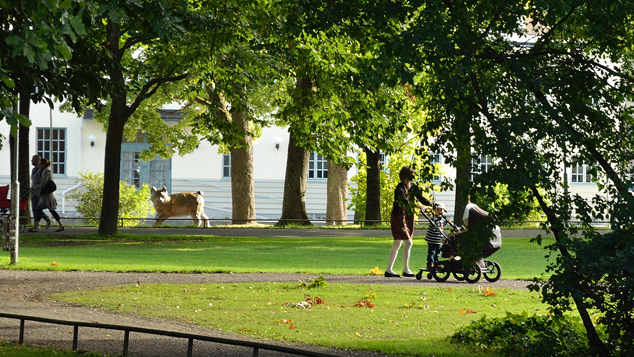 20130906-039-Uppsala.jpg - The city park ...