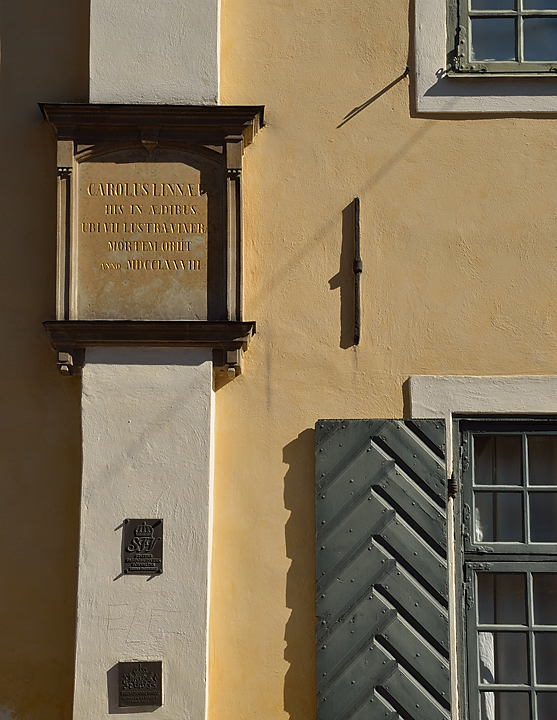 20130907-058-Uppsala.jpg - Linnee's house