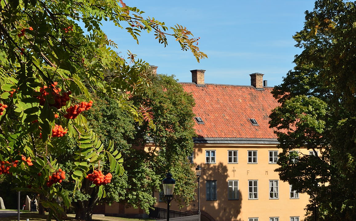 20130907-086-Uppsala.jpg