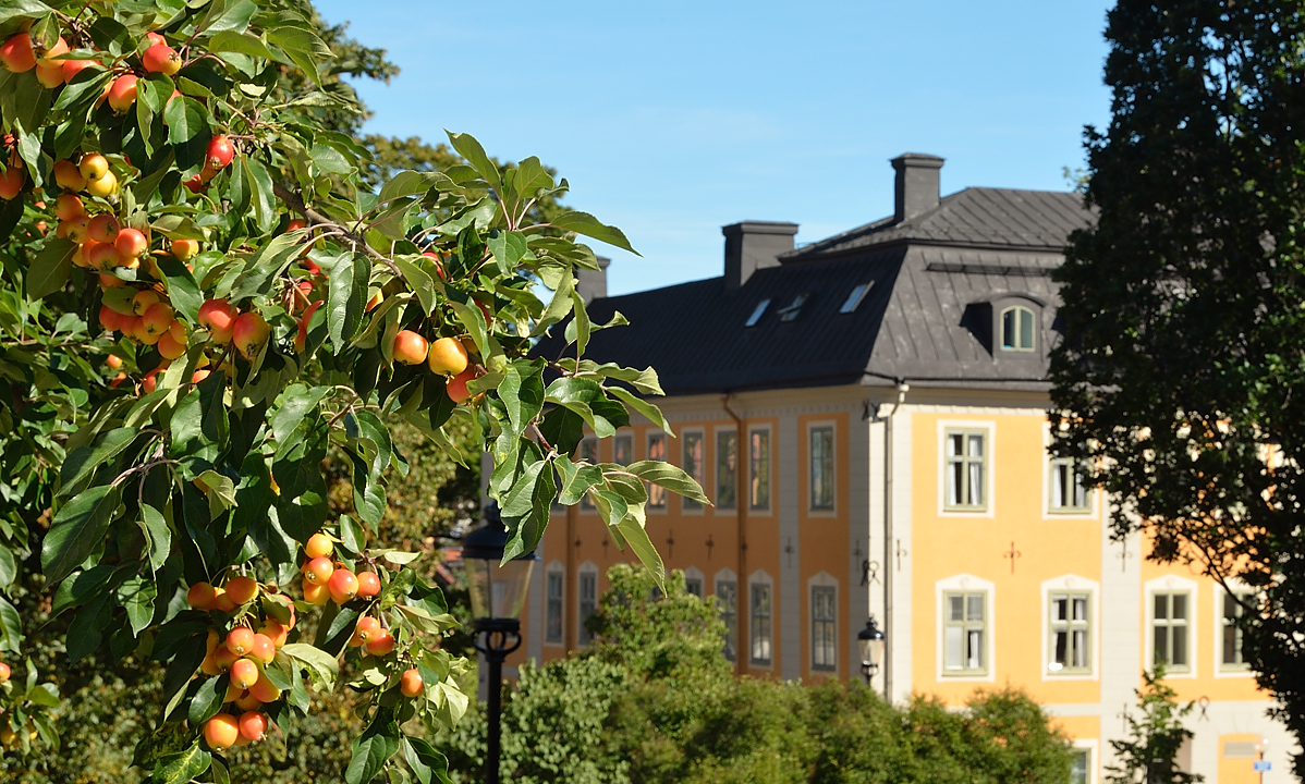 20130907-087-Uppsala.jpg