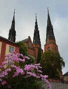 20130906-030-Uppsala