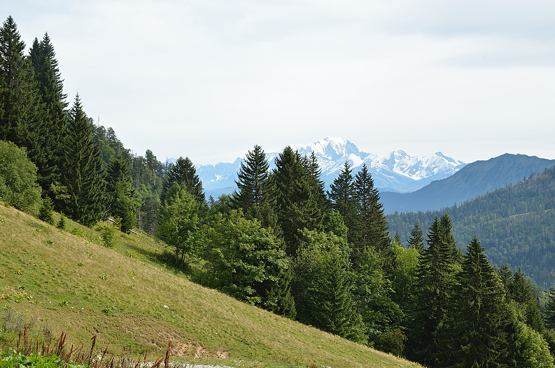 20130914-011-Trelod.jpg - Vue sur Mont Blanc du Planey