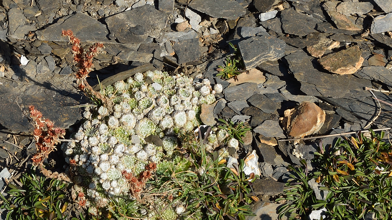 20130921-014-LaGraveBesse.jpg