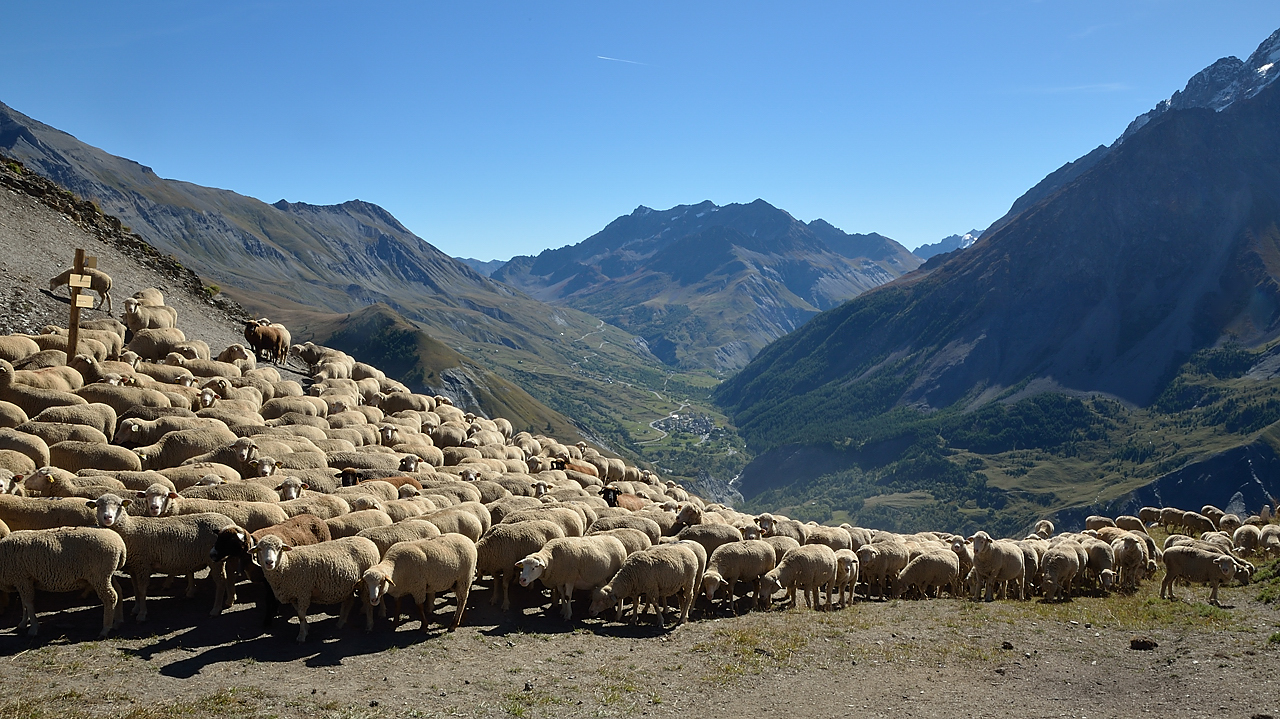 20130921-021-LaGraveBesse.jpg
