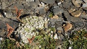 20130921-014-LaGraveBesse