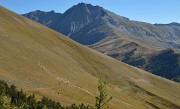 20130921-017-LaGraveBesse