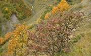 20131020-043-Souffles