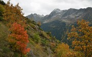 20131020-048-Souffles