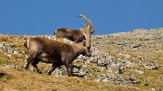 20131026-020-PerronEncombres