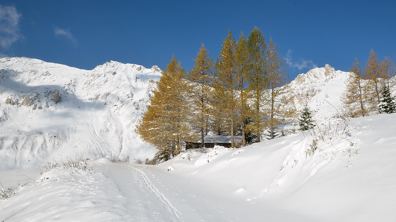 20131111-008-EncombreSki.jpg - Chalets dans la neige