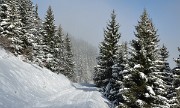 20131201-012-BelleEtoile