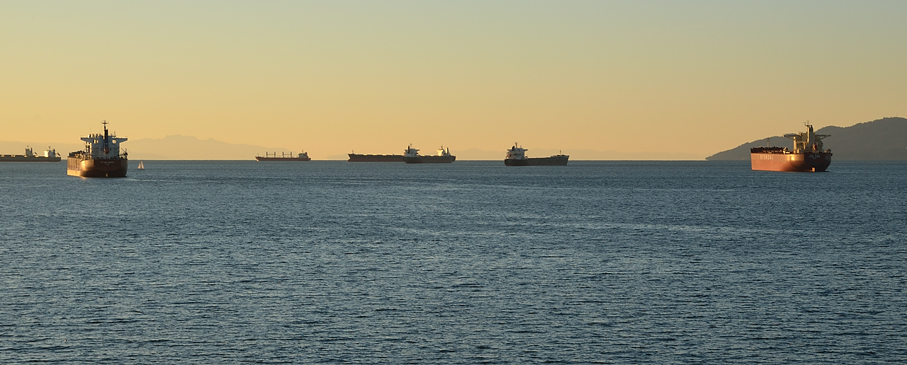 20131208-122-VancouverRTSS.jpg - Ships in the Burrard Inlet, seen from the Stanley park ...