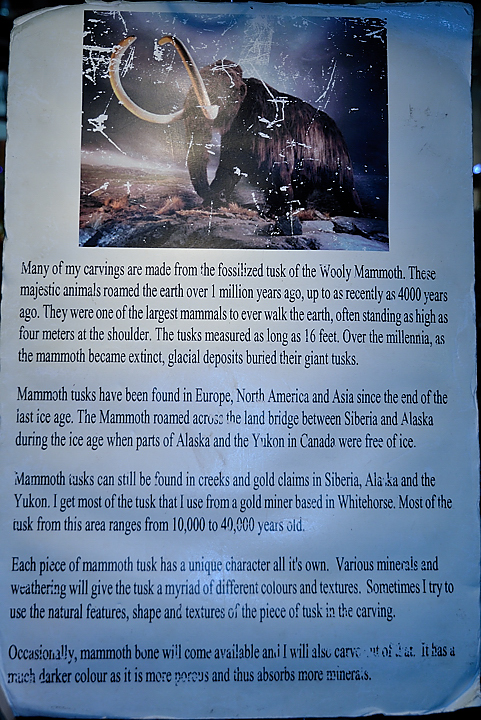 20131209-148-VancouverRTSS.jpg - On Granville Island: necklaces and other accessories from Mammoth tusk