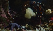 20131206-008-VancouverRTSS