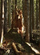 20131207-060-VancouverRTSS