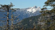 20131207-065-VancouverRTSS