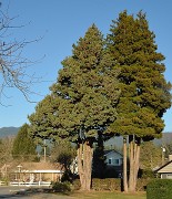 20131208-087-VancouverRTSS