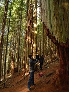 20131208-131-VancouverRTSS