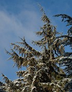 20131208-142-VancouverRTSS