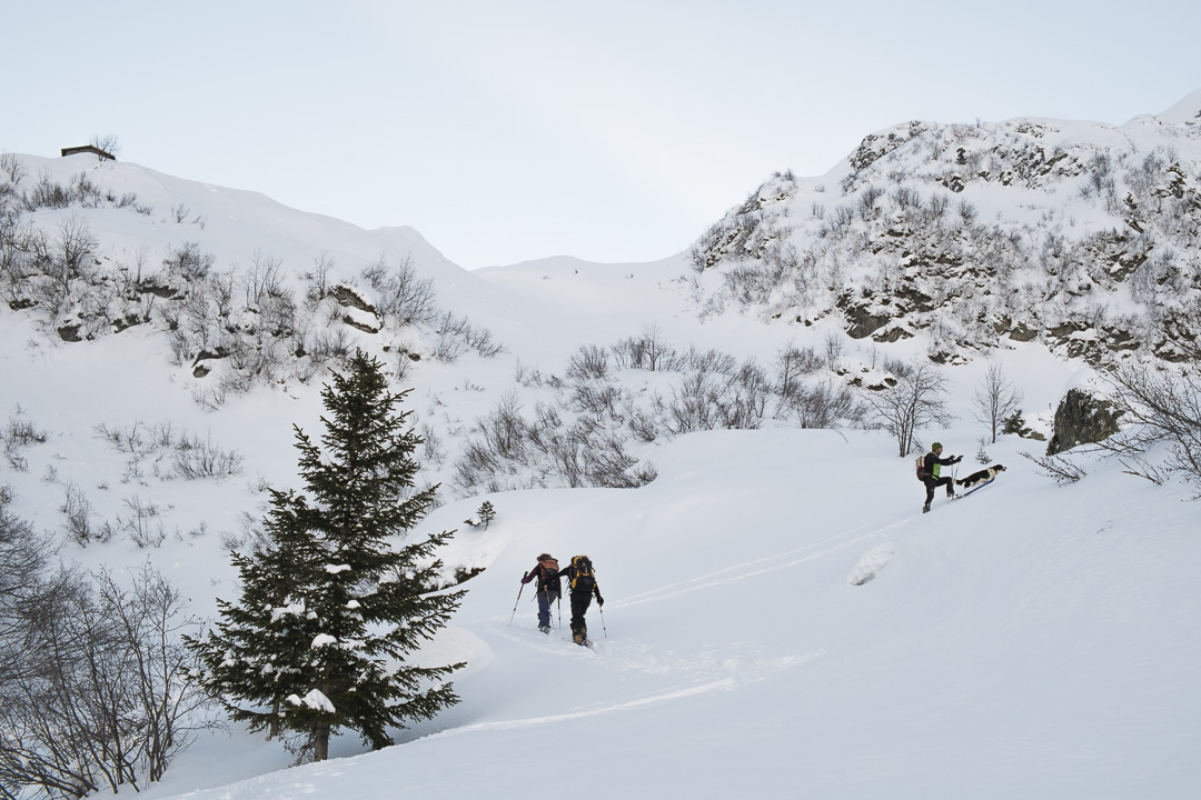 140125-092626-Pierre.jpg - Sous le refuge