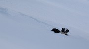 20140125-014-Comberousse