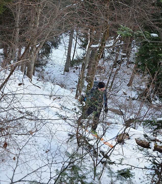 20140201-006-GrdsMoulins.jpg - ... dans la foret donc ...