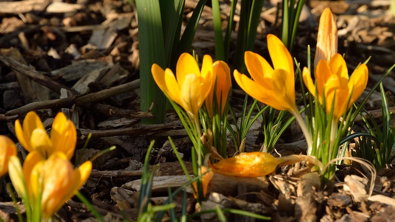 20140302-033-Spring.jpg