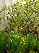 20140227-005-Spring