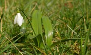 20140227-010-Spring
