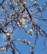 20140302-032-Spring