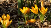 20140302-033-Spring