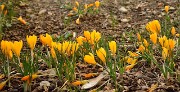 20140302-034-Spring