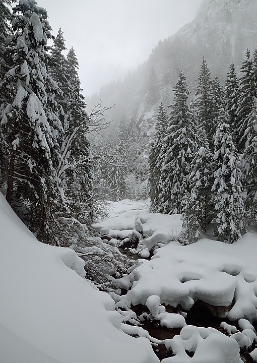 20140302-002-RocherBlanc.jpg - Tout en bas dans la foret