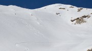 20140309-061-BeccaMotta-etal