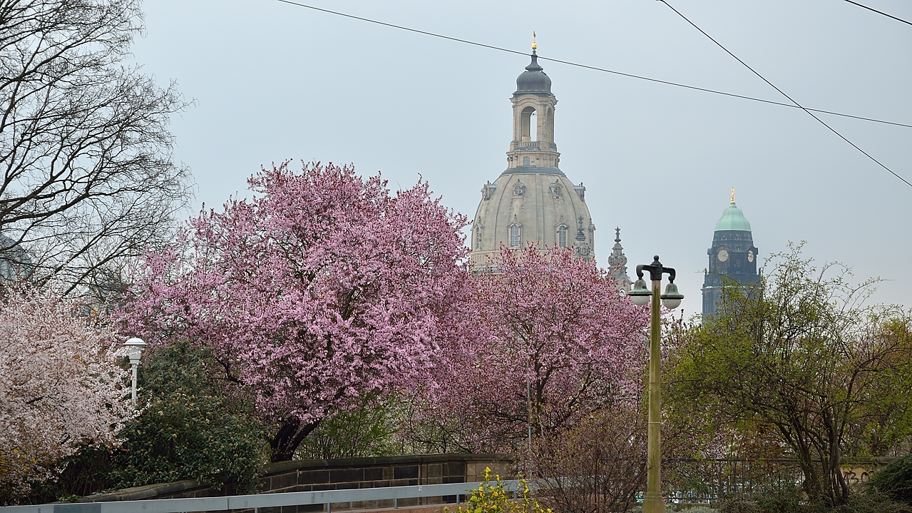 20140328-043-Dresden.jpg - Spring views from the Neustadt on the Altstadt
