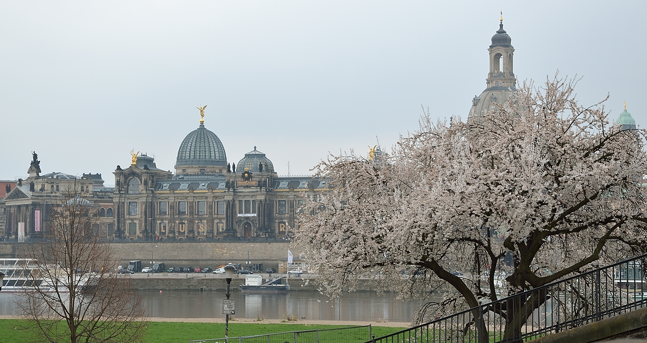 20140328-044-Dresden.jpg - Spring views from the Neustadt on the Altstadt