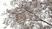 20140328-023-Dresden