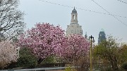 20140328-043-Dresden
