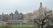20140328-044-Dresden