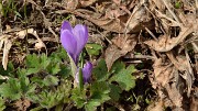 20140330-010-AiguillettesVauj