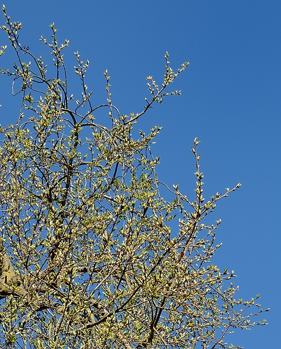 20140412-063-Upps+Stockh.jpg
