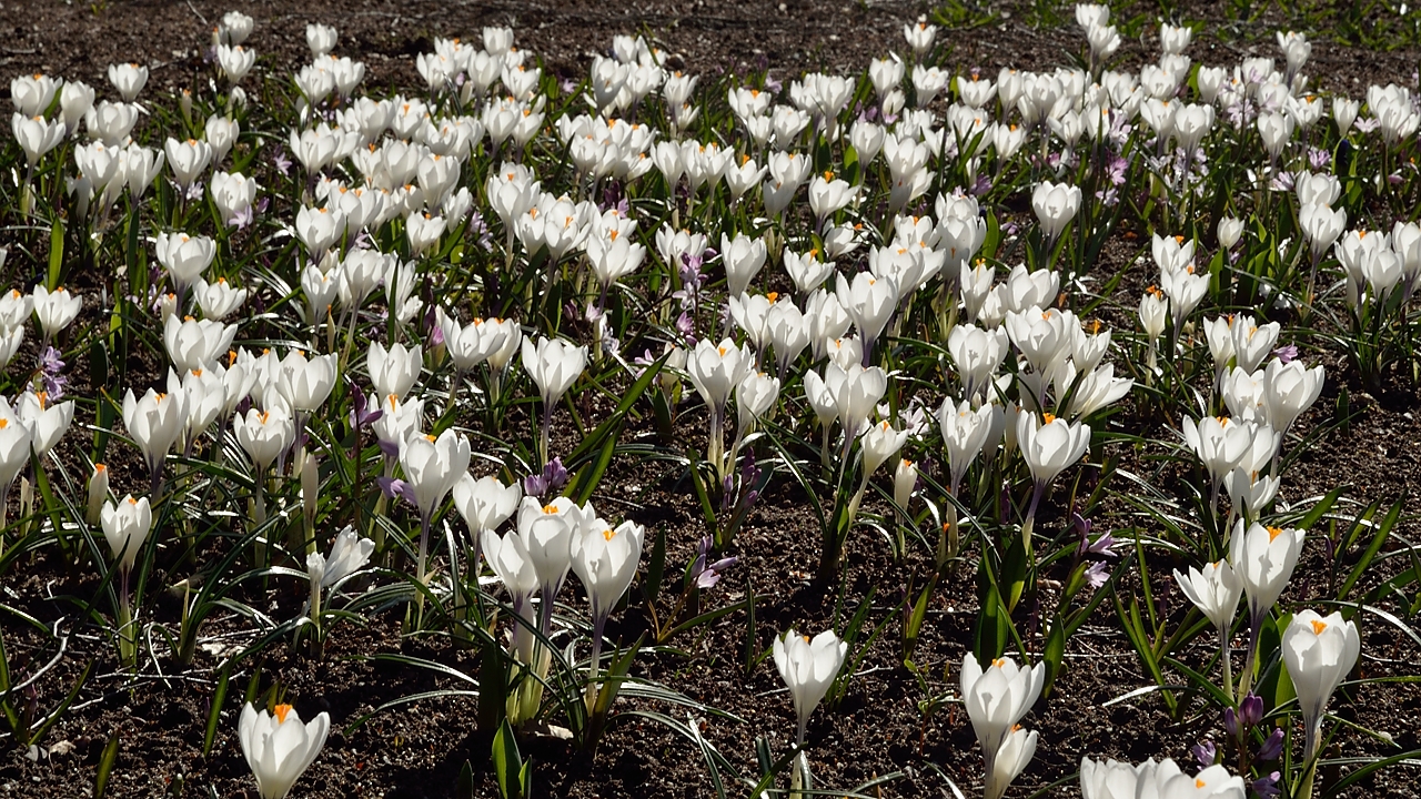 20140412-073-Upps+Stockh.jpg