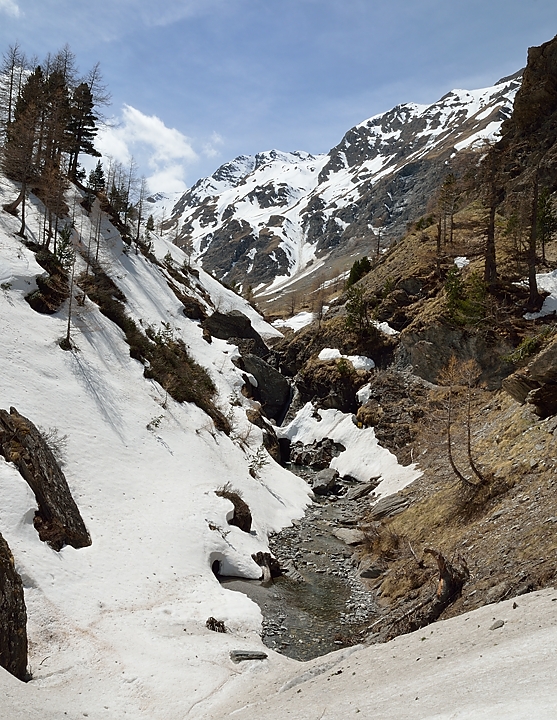 20140426-022-Scolette.jpg - fin de la partie a ski ...