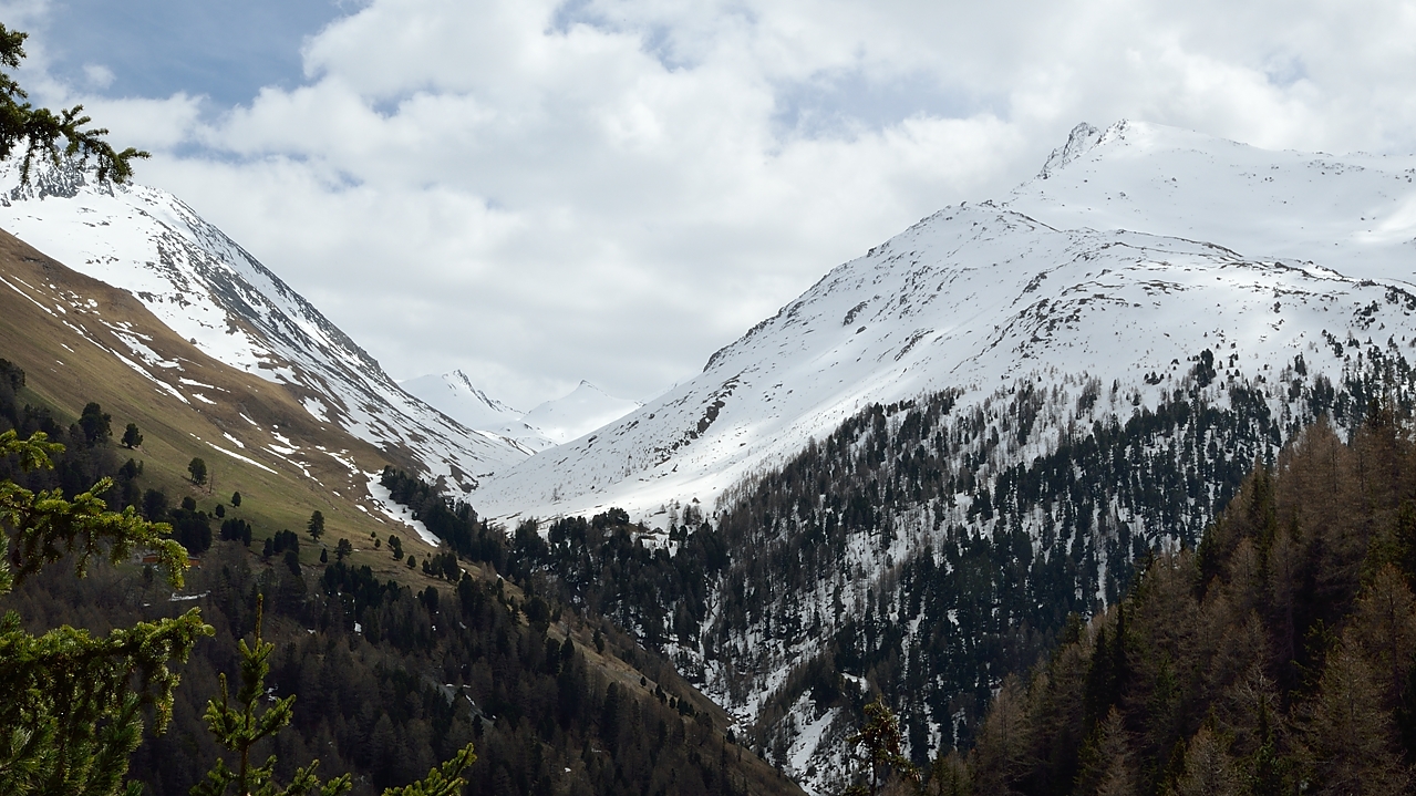 20140426-031-Scolette.jpg - Vue en arriere sur le sommet (a droite)