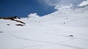 20140426-021-Scolette