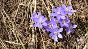 20140426-028-Scolette